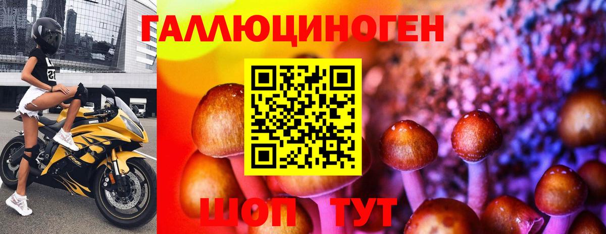 Прохладный  Галлюциногенные грибы Magic Shrooms  Вход с VPN 